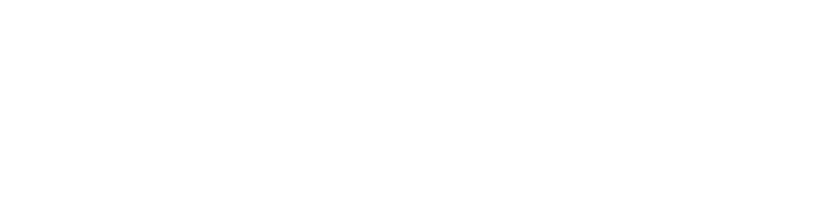 Wedding Shoots Logo
